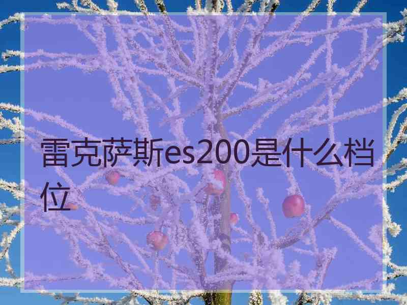 雷克萨斯es200是什么档位