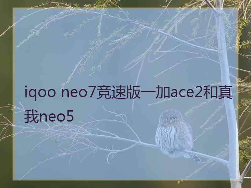 iqoo neo7竞速版一加ace2和真我neo5