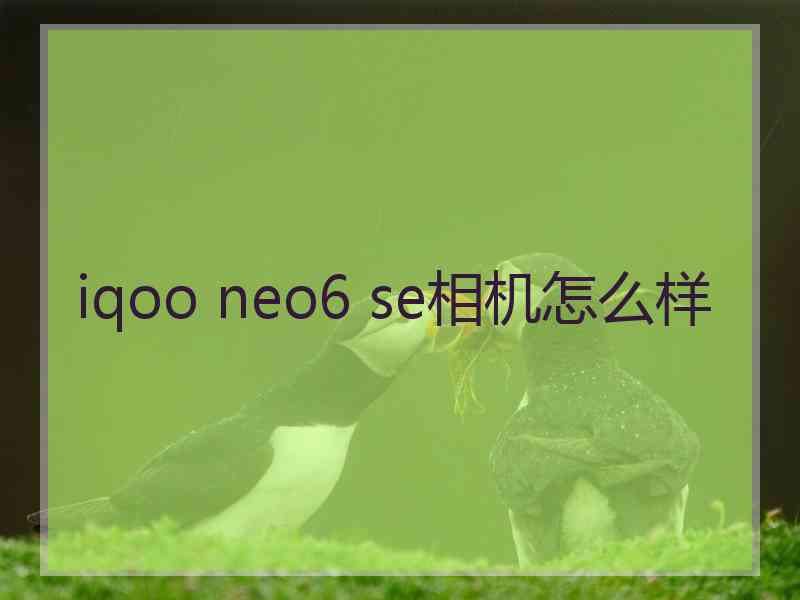 iqoo neo6 se相机怎么样