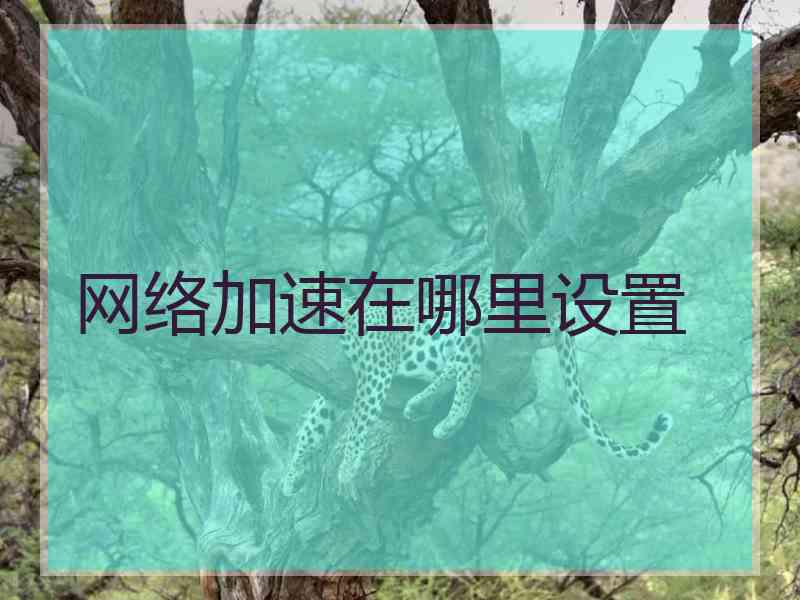 网络加速在哪里设置