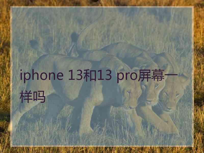 iphone 13和13 pro屏幕一样吗