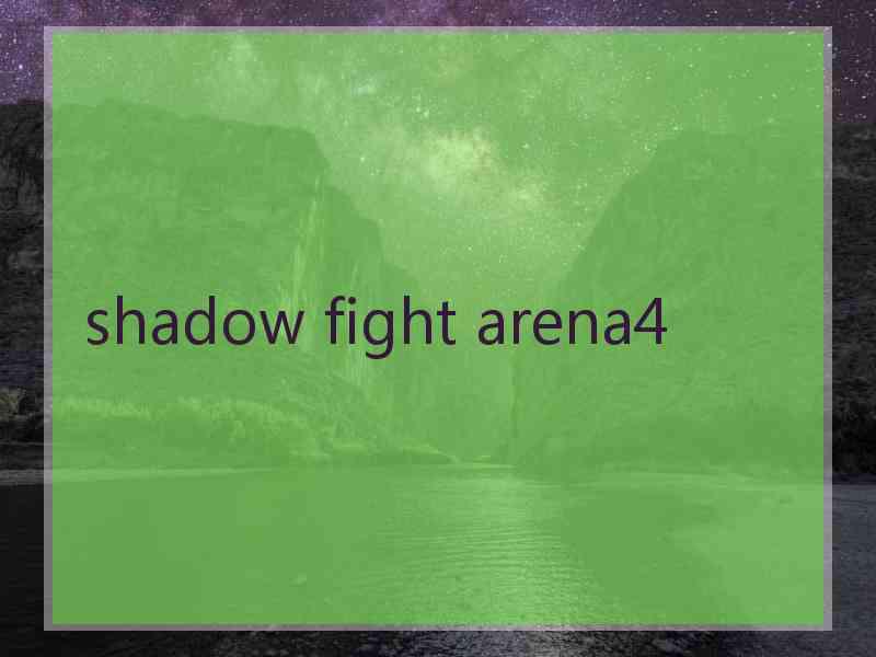 shadow fight arena4