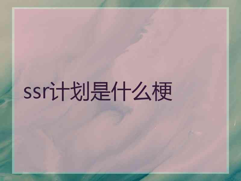 ssr计划是什么梗