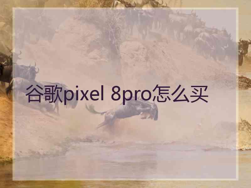 谷歌pixel 8pro怎么买