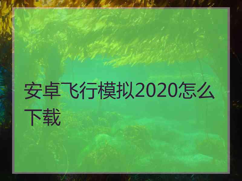 安卓飞行模拟2020怎么下载