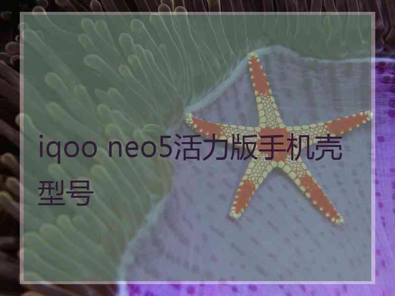 iqoo neo5活力版手机壳型号