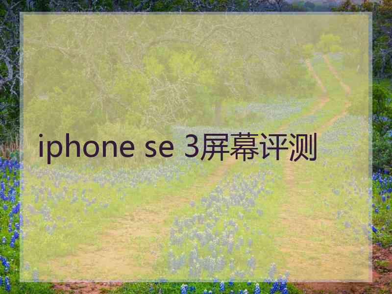 iphone se 3屏幕评测