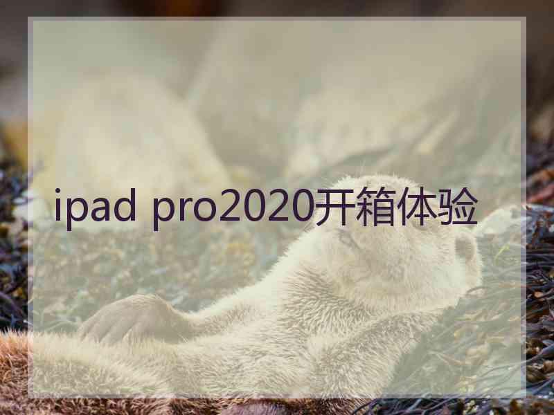 ipad pro2020开箱体验