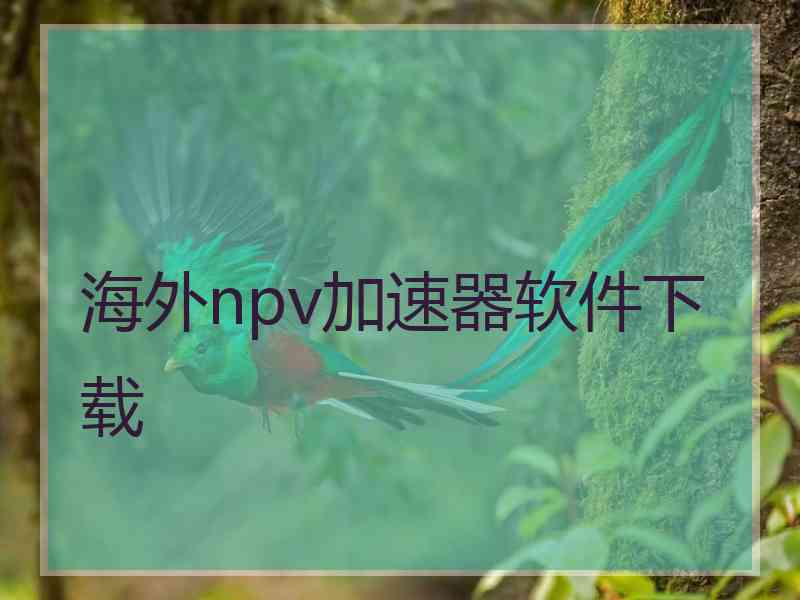 海外npv加速器软件下载