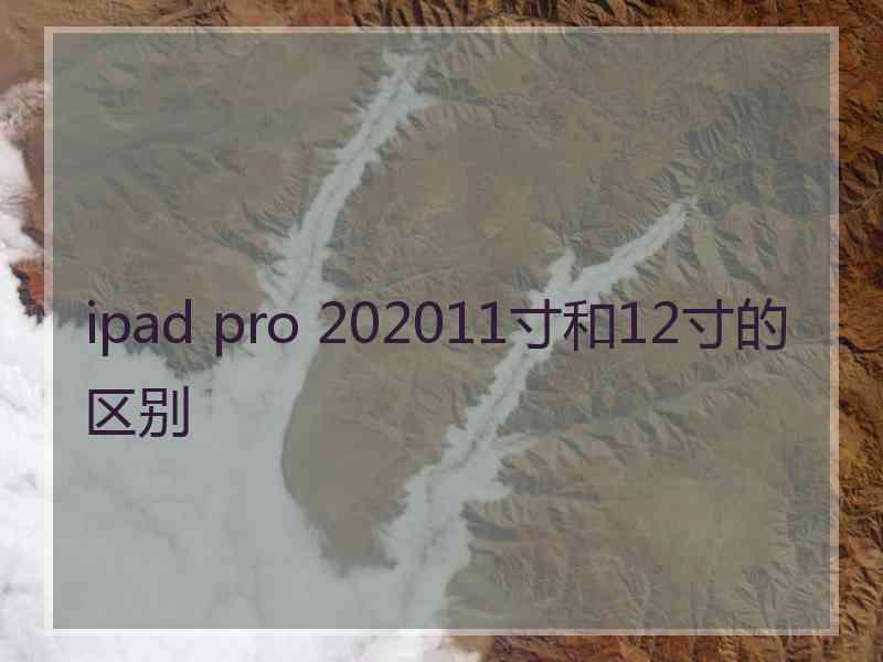 ipad pro 202011寸和12寸的区别