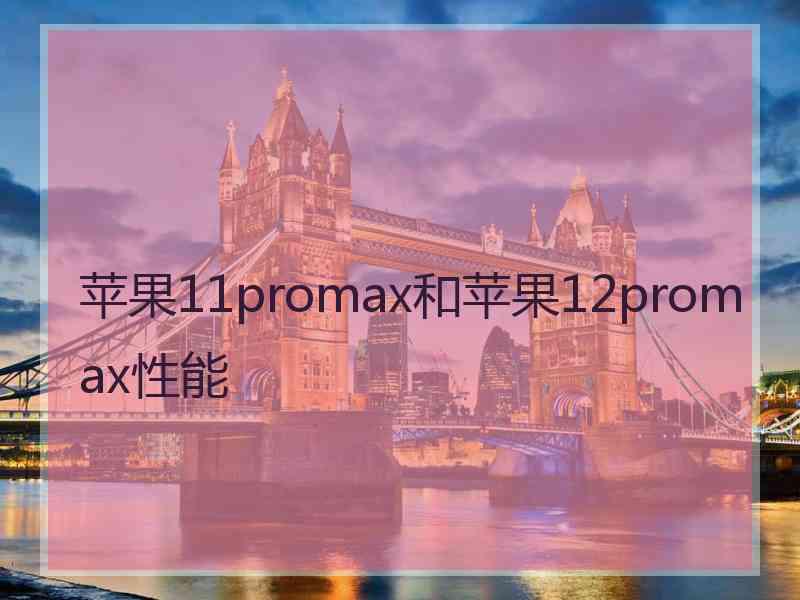 苹果11promax和苹果12promax性能