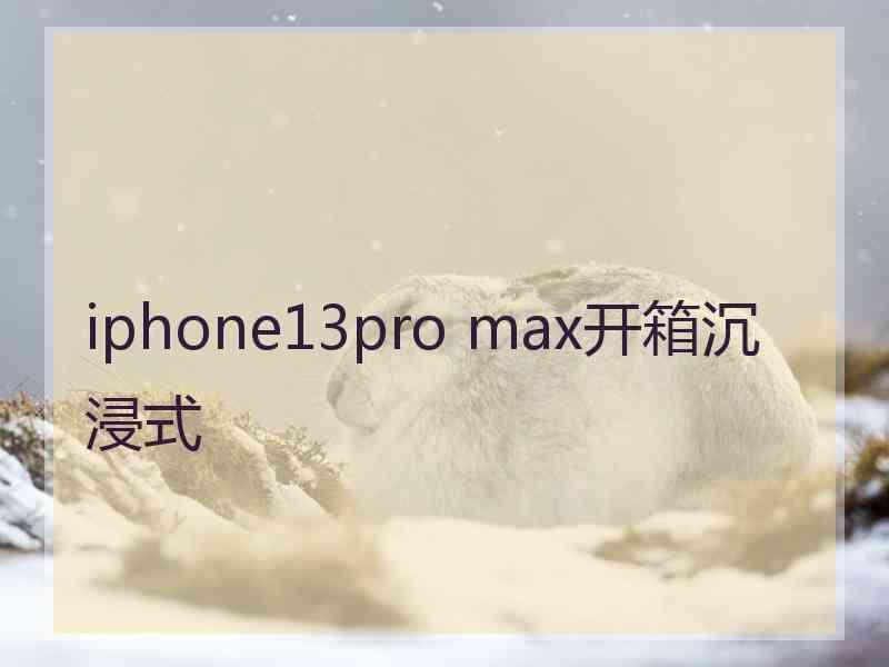 iphone13pro max开箱沉浸式