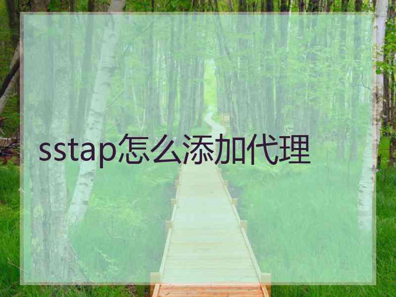 sstap怎么添加代理