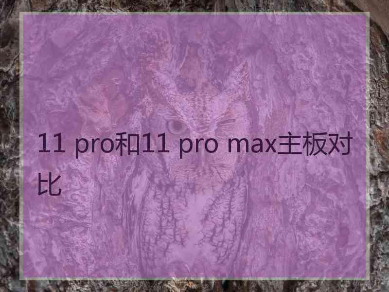 11 pro和11 pro max主板对比