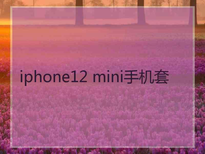 iphone12 mini手机套