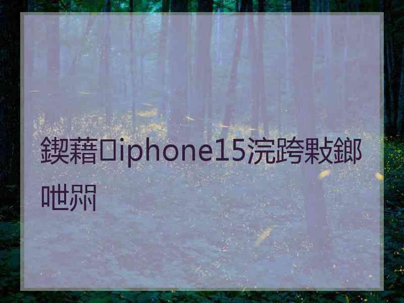 鍥藉iphone15浣跨敤鎯呭喌