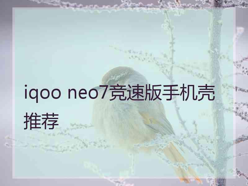 iqoo neo7竞速版手机壳推荐