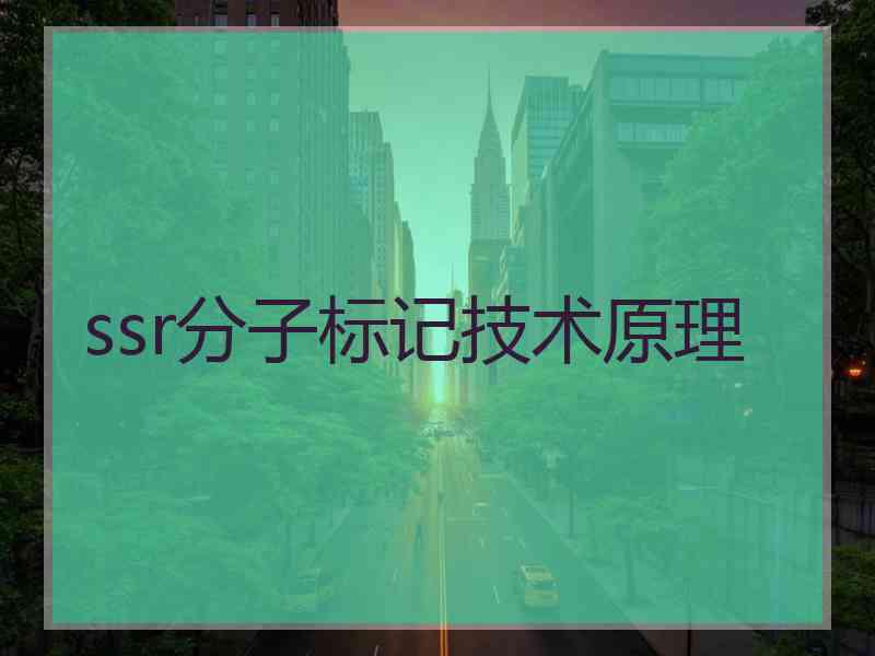 ssr分子标记技术原理