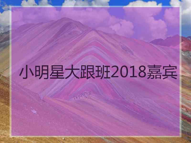 小明星大跟班2018嘉宾