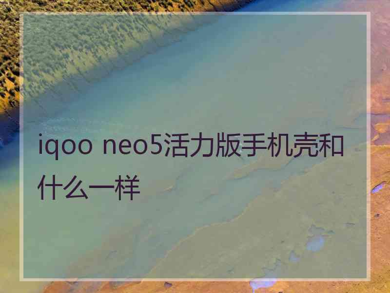 iqoo neo5活力版手机壳和什么一样