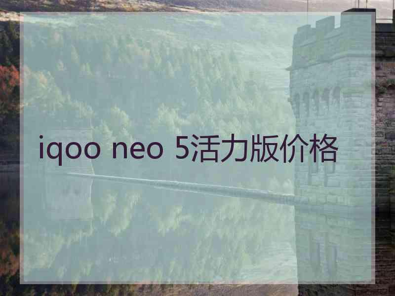 iqoo neo 5活力版价格