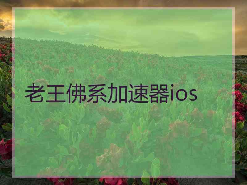 老王佛系加速器ios