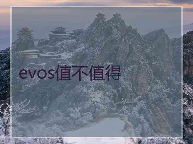 evos值不值得