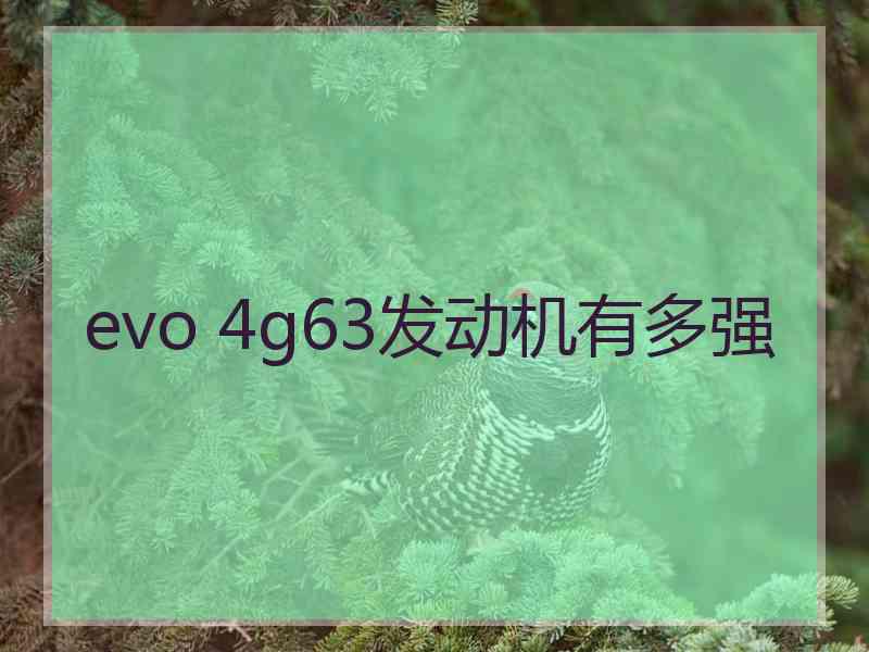 evo 4g63发动机有多强