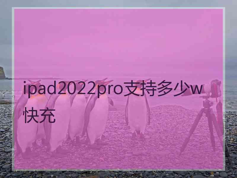 ipad2022pro支持多少w快充