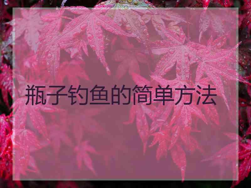 瓶子钓鱼的简单方法