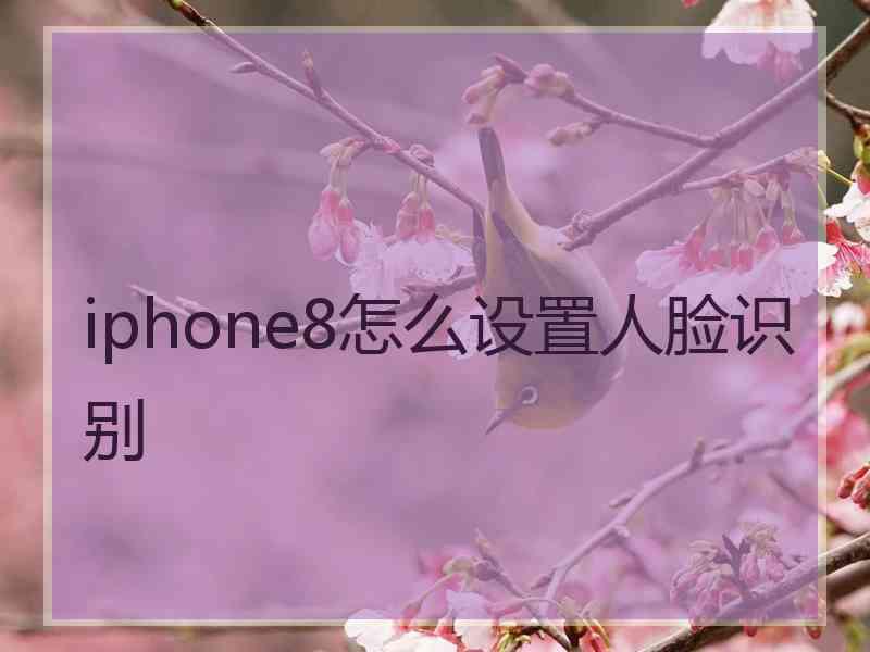 iphone8怎么设置人脸识别