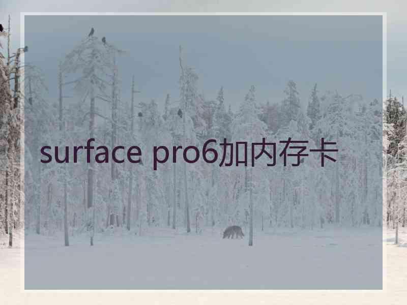 surface pro6加内存卡