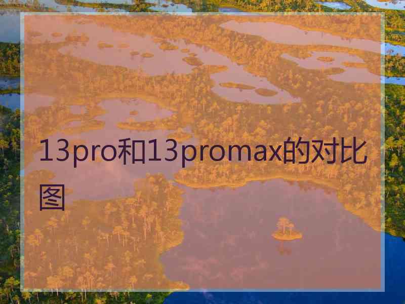 13pro和13promax的对比图