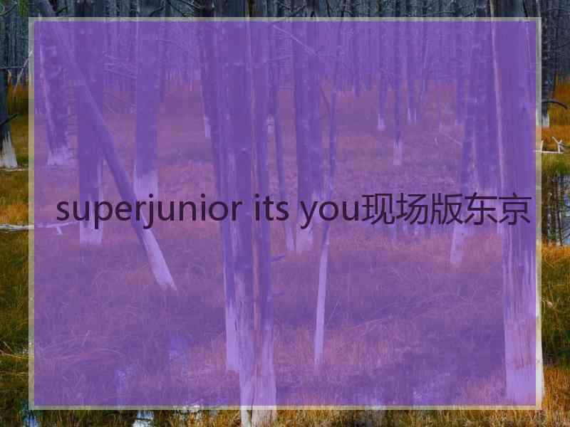 superjunior its you现场版东京
