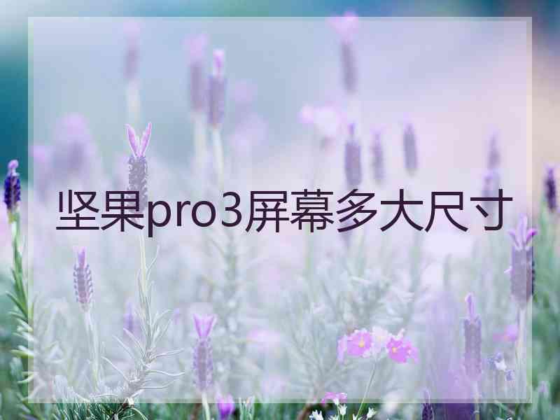 坚果pro3屏幕多大尺寸