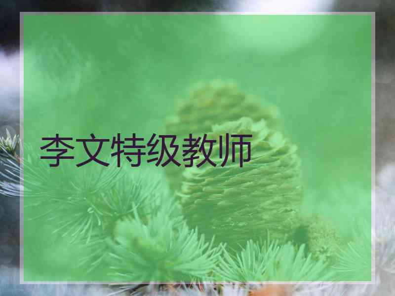 李文特级教师