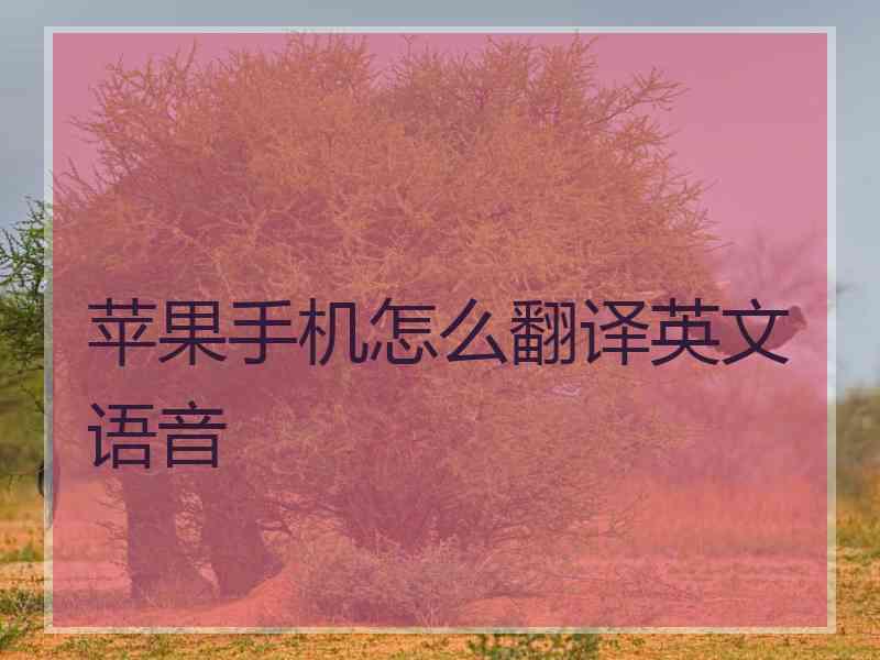 苹果手机怎么翻译英文语音