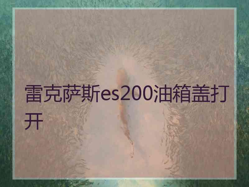 雷克萨斯es200油箱盖打开