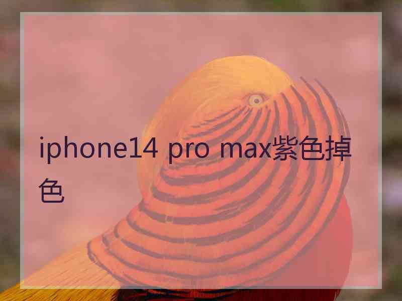 iphone14 pro max紫色掉色