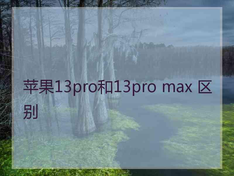 苹果13pro和13pro max 区别