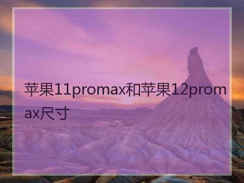 苹果11promax和苹果12promax尺寸