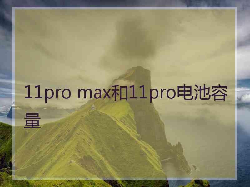 11pro max和11pro电池容量