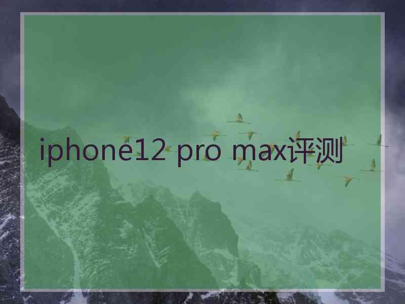 iphone12 pro max评测