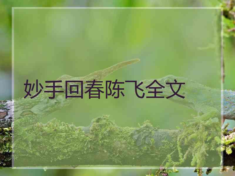 妙手回春陈飞全文