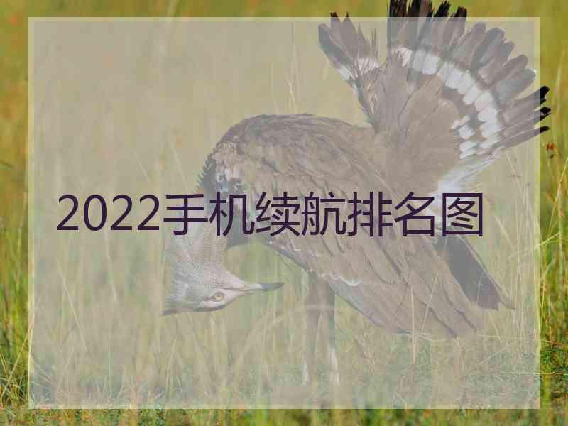 2022手机续航排名图