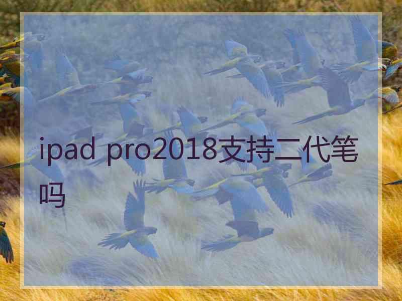 ipad pro2018支持二代笔吗