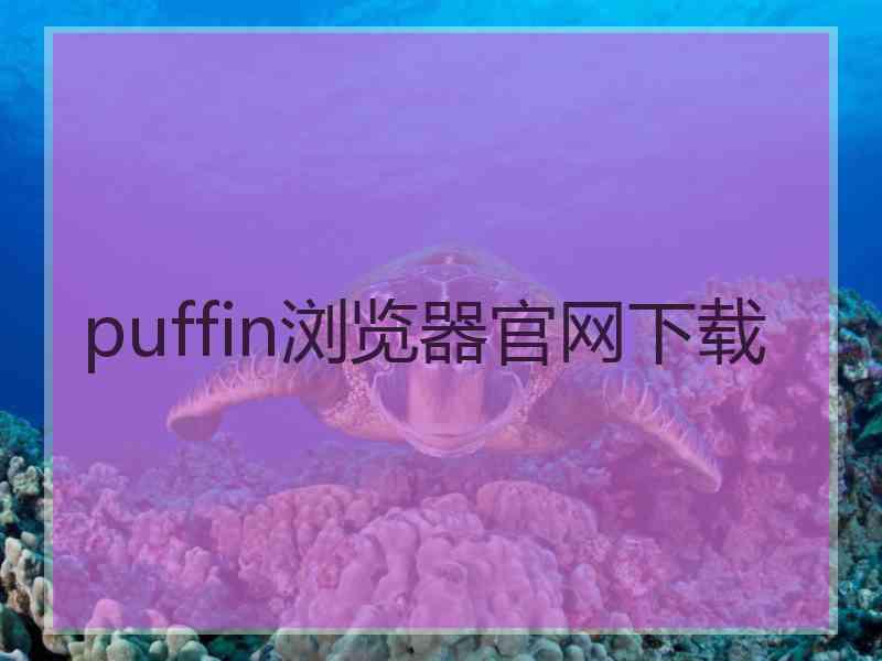 puffin浏览器官网下载