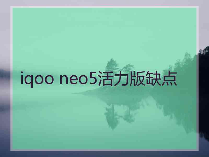 iqoo neo5活力版缺点