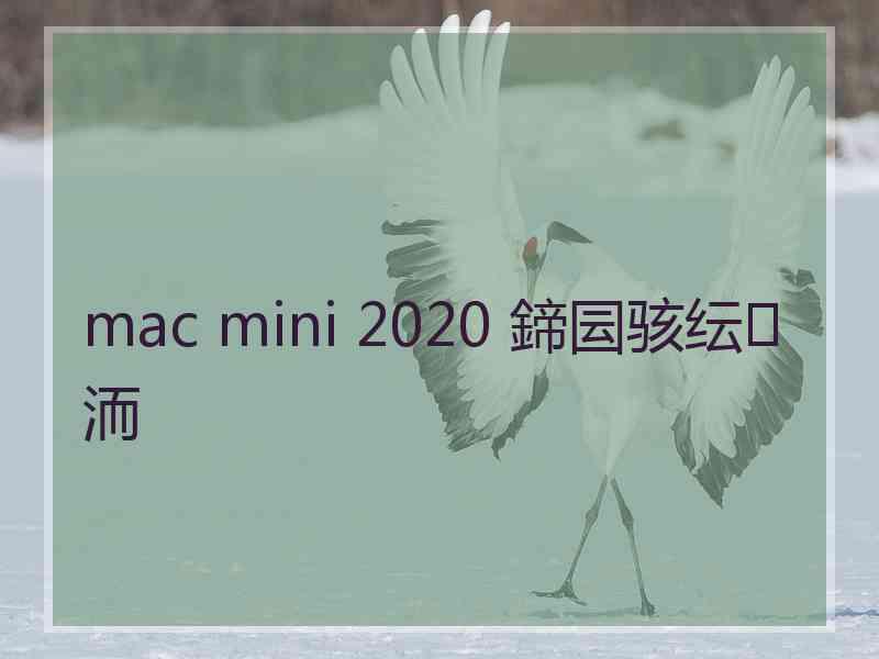 mac mini 2020 鍗囩骇纭洏