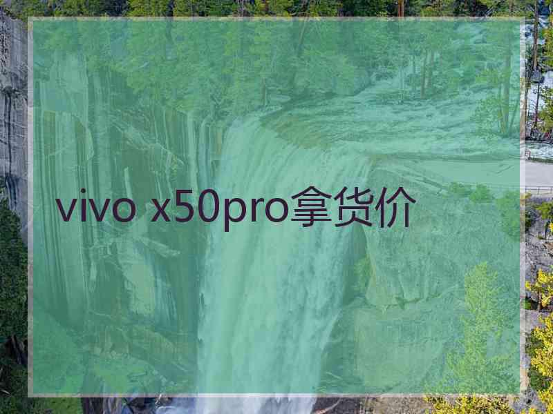 vivo x50pro拿货价